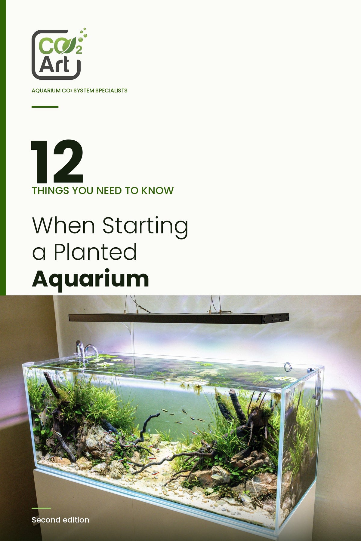 12 Things You Need to Know When Starting a Planted Aquarium — e-book