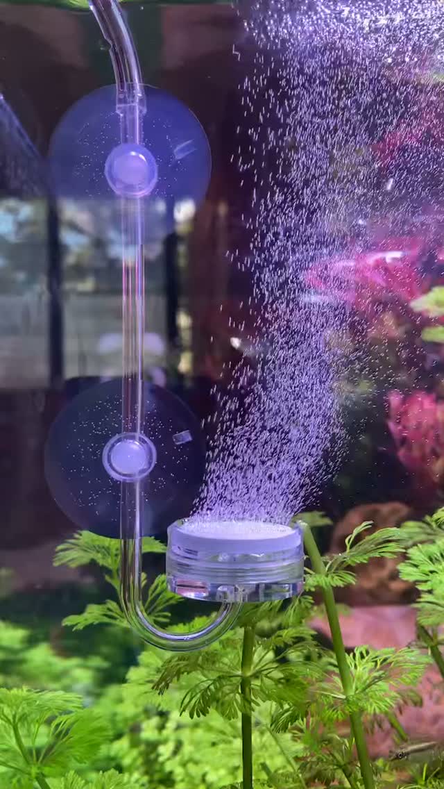 IO diffuser