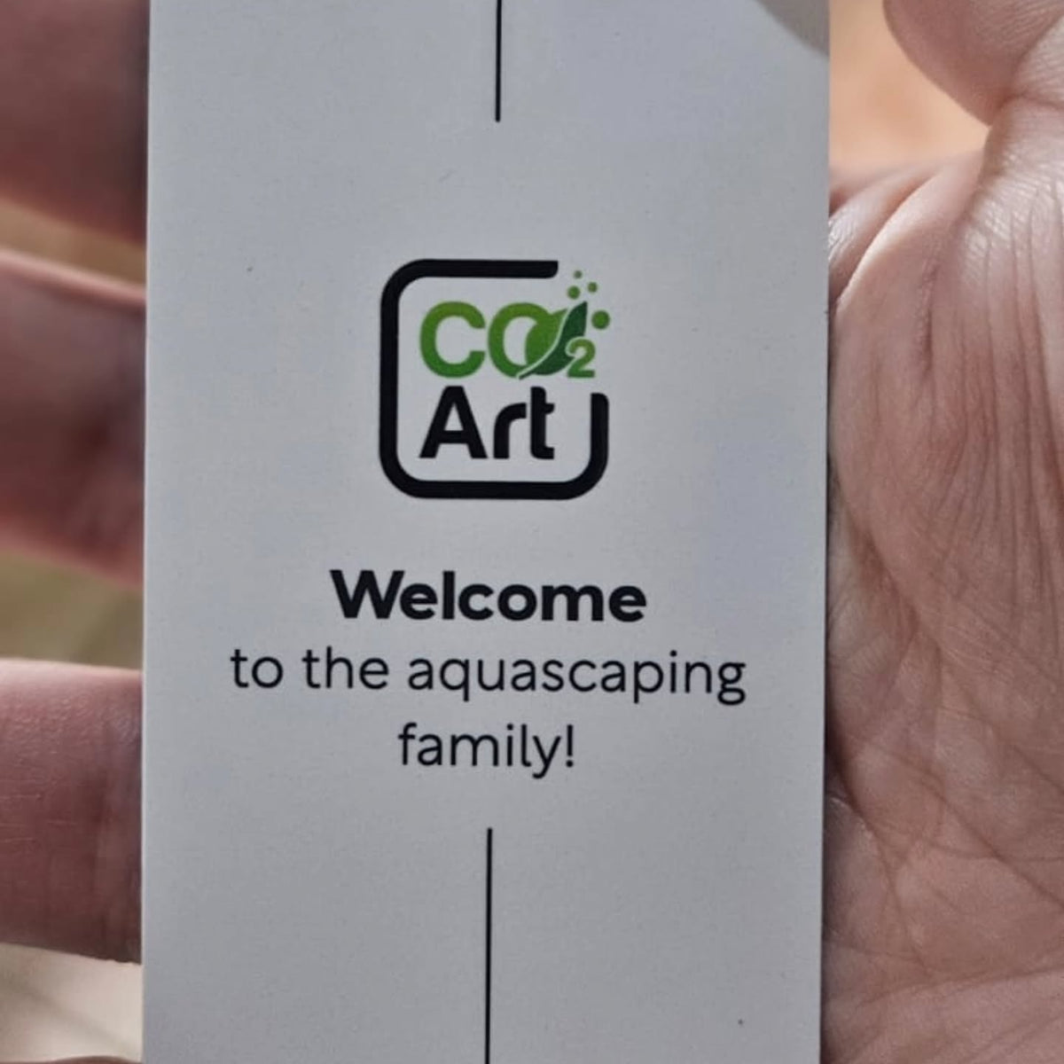 Publicación de Instagram de @vale.aquascaper