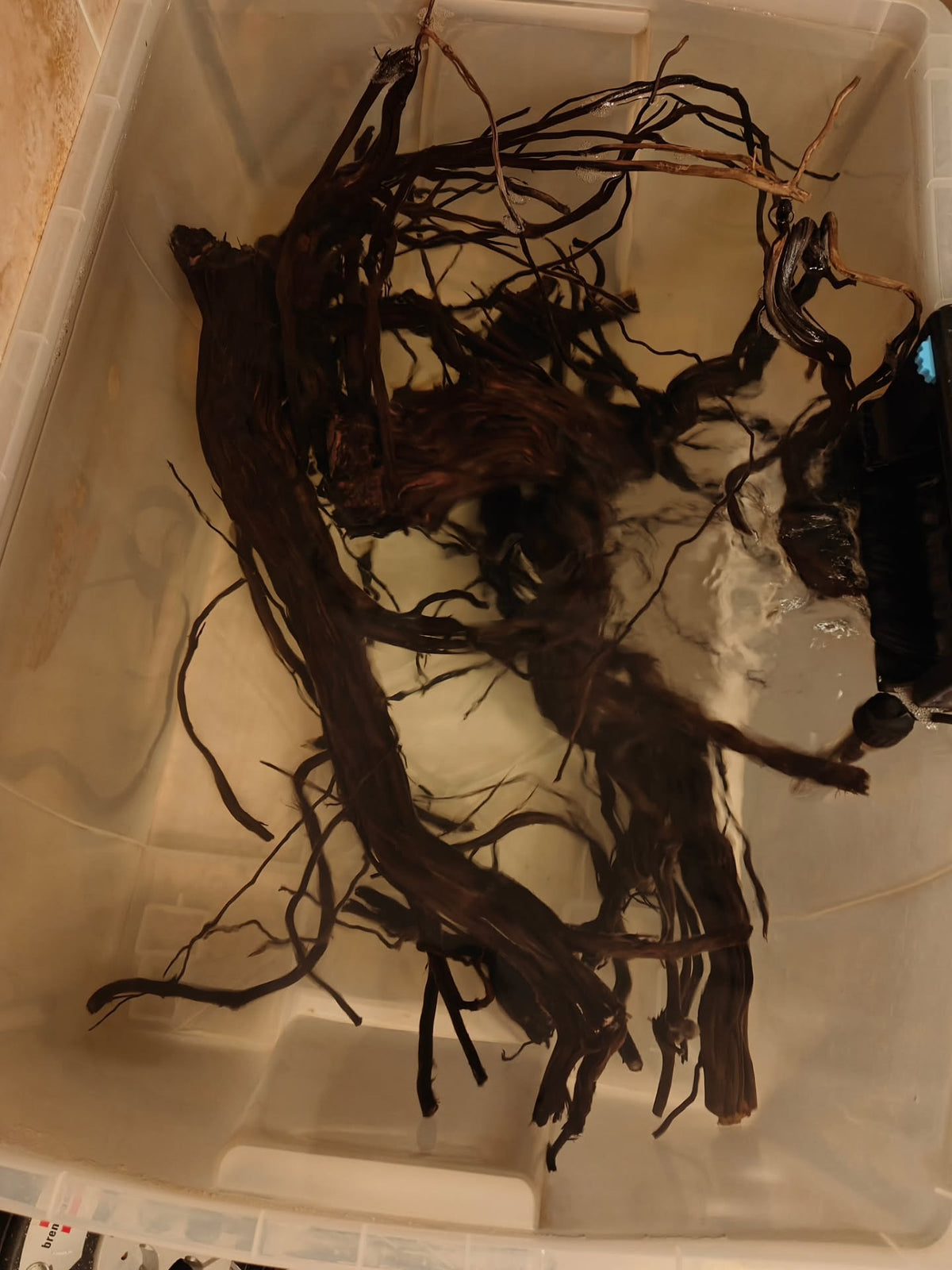 Publicación de Instagram de @aquascapebarendrecht