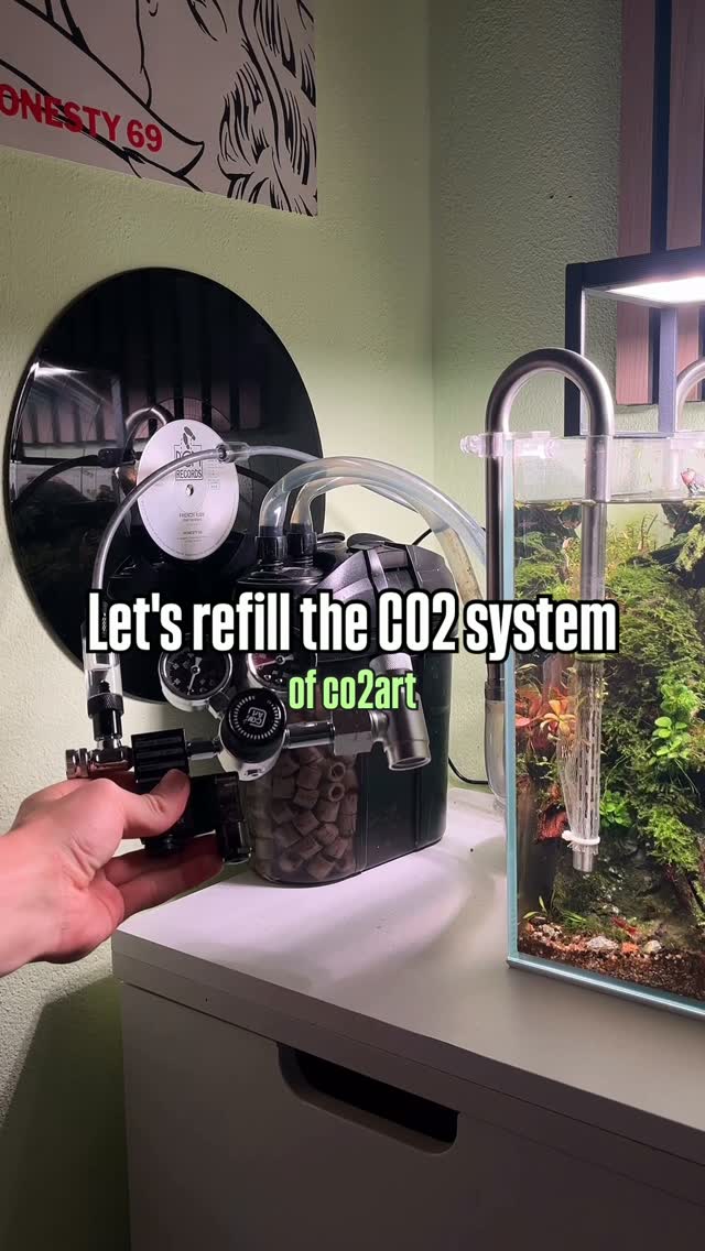 Publicación de Instagram de @jj.scaping.a
