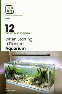 12 cosas que debes saber al montar un acuario plantado — libro electrónico